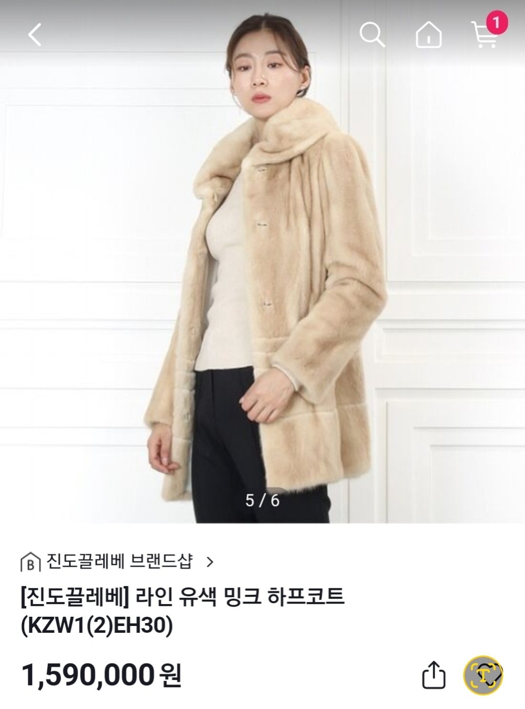 진도모피